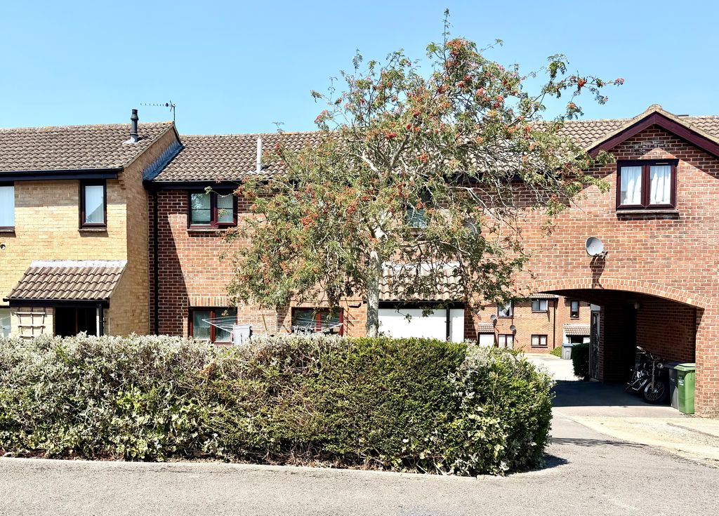 Main Image